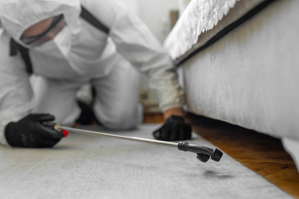 Professional Termite Control technician working in Bridgetown, MS