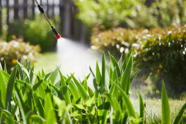 24/7 Emergency Termite Control experts in Bridgetown, MS